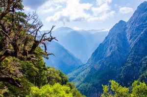 Samaria Schlucht auf Kreta