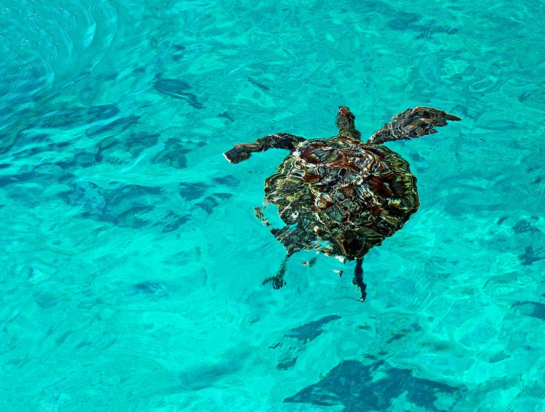 Ausflugsmöglichkeiten in Khao Lak