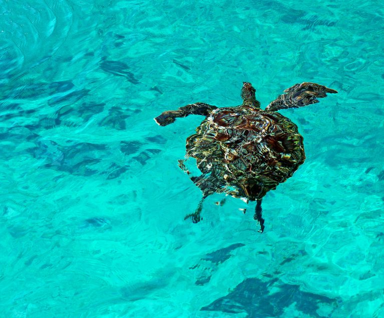 Ausflugsmöglichkeiten in Khao Lak