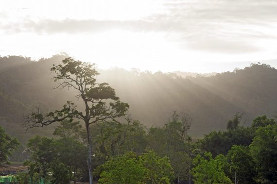 Sonne über dem Wald in Thailand, Khao Lak