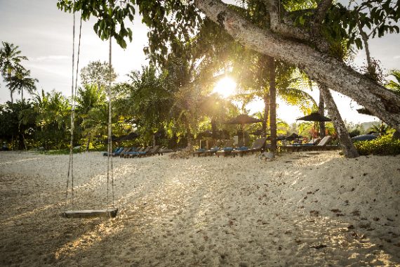 Strand mit einer Schaukel, die an einem Ast befestigt ist, und viele Palmen