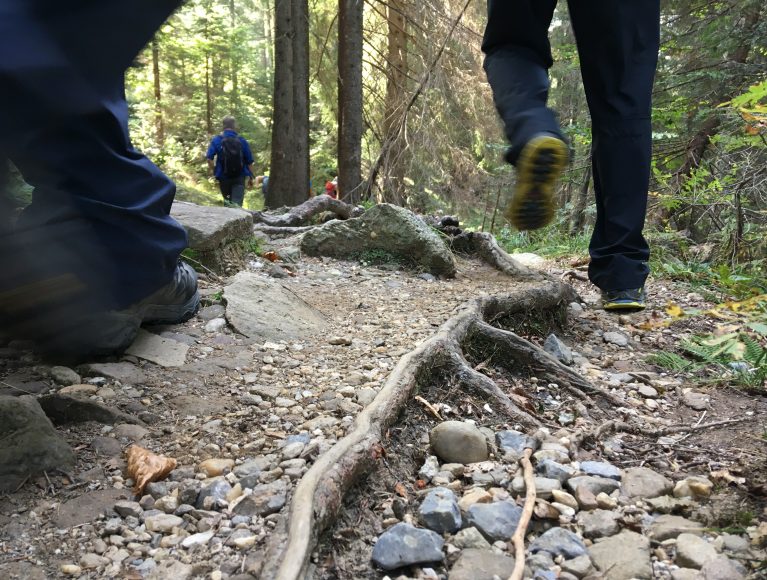 Steiniger Weg auf der Tröpolacher Almwanderung