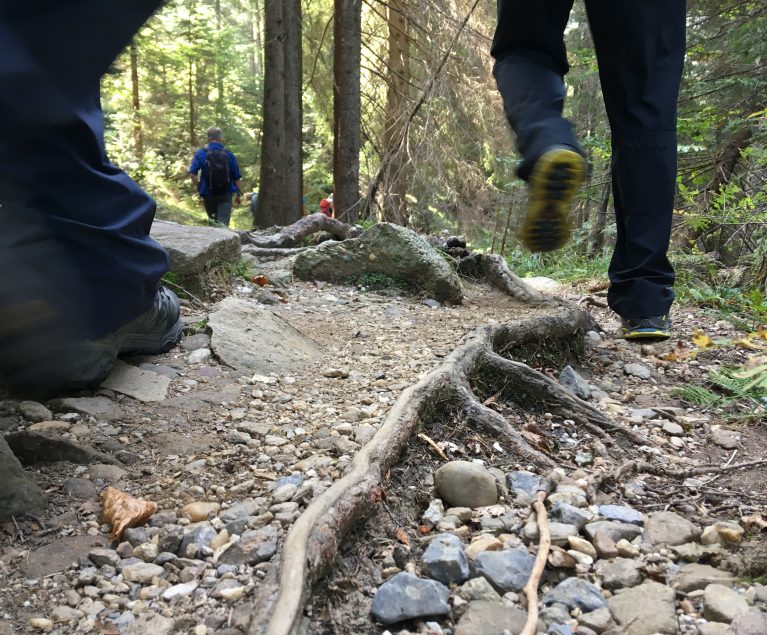 Steiniger Weg auf der Tröpolacher Almwanderung