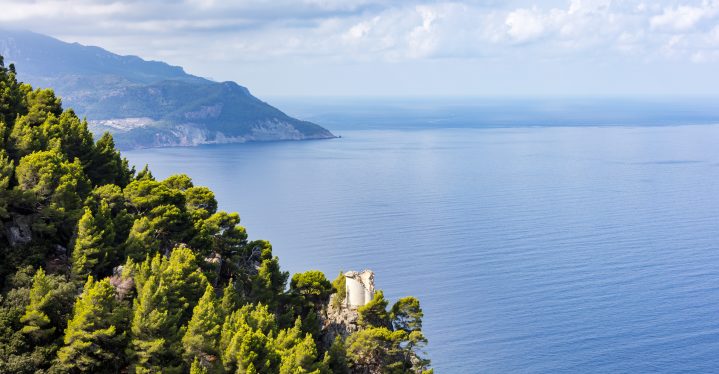 Die beste Reisezeit für Mallorca