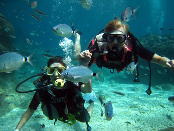 2 Taucher im Wasser umgeben von Fischen