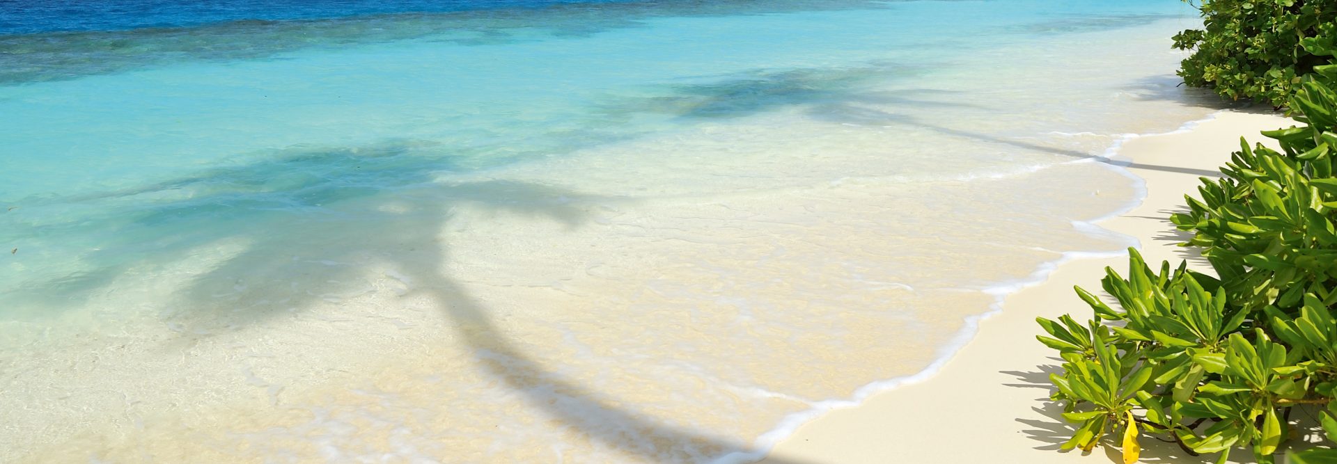 Süd Gaafu Atoll Malediven