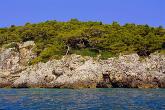 Eine der Tremiti-Inseln mit ihrer grünen Vegetation von der Seite