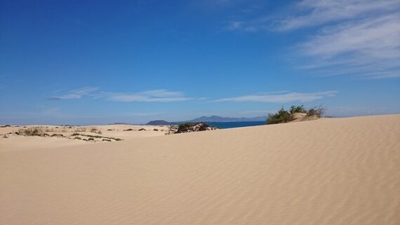 Sanddüne auf Fuerteventura