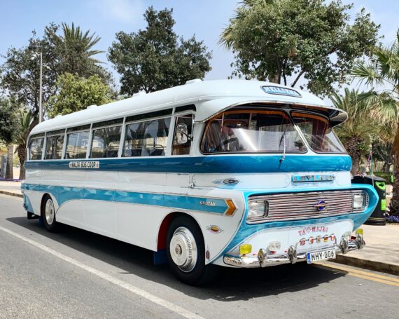 Blau-weißer alter Bus vor Palmen