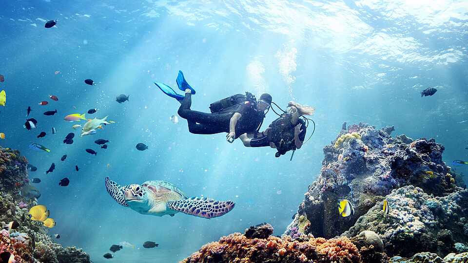 Zwei Menschen tauchen im Meer und sind umgeben von bunten Fischen