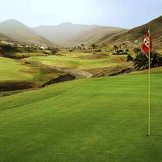 Hügeliger Golfplatz mit Palmen und rote Fahne im Vordergrund