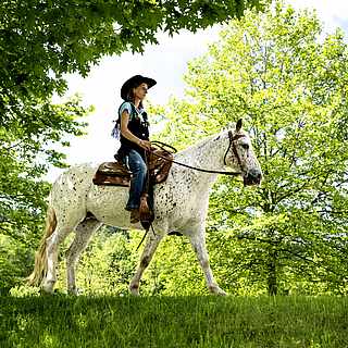 Eine Grau sitzt in Westernkleidung auf einem Westernsattel mit Westerntrense. Sie schaut geradeaus. Das Pferd ist weiß und läuft schritt. Siei befinden sich auf einer Wiese mit Bäumen darum herum.