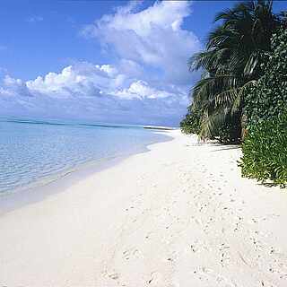 Weißsandiger Strandabschnitt mit Palmen und hellblauem Wasser