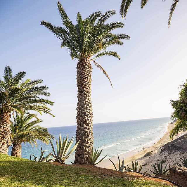 Einzigartige Naturkulisse im ROBINSON Club Esquinzo Playa Klippe mit Aussicht auf den Strand und das Meer