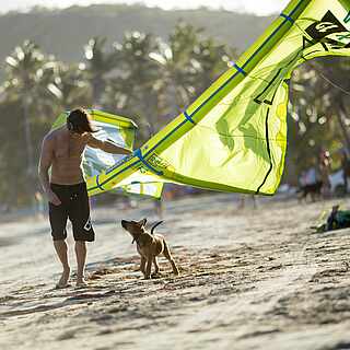 Ein Mann mit einem Kite im Arm agiert mit einem Hund. Sie laufen fast an der Wasserkante am Strand. Rechts im Hintergrund stehen Leute mit einem Auto. Allgemein im Hintergrund erkennt man Palmen.