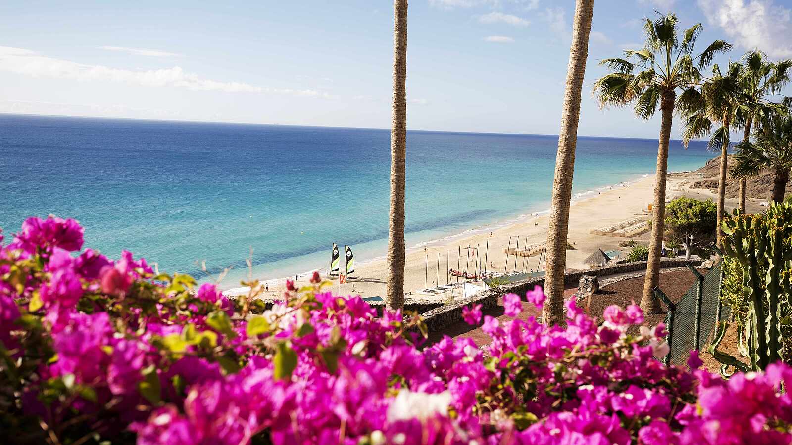 Klippe mit Blumen, Palmen und Ausblick auf den Strand und das Meer